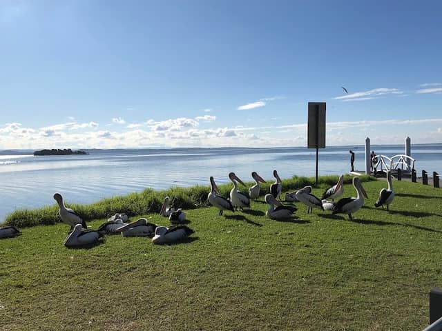 Picnic Point Reserve - Image 1