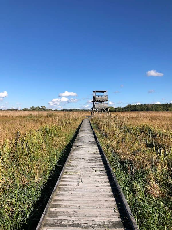Askare Hage Naturreservat - Image 1