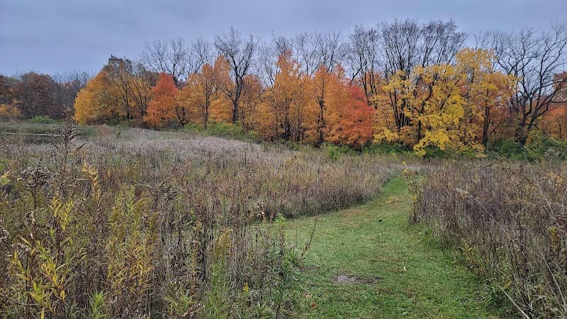 Pickerill-Pigott Forest Preserve - Image 1