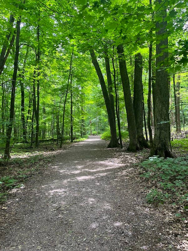 East Bluff Trailhead - Image 2