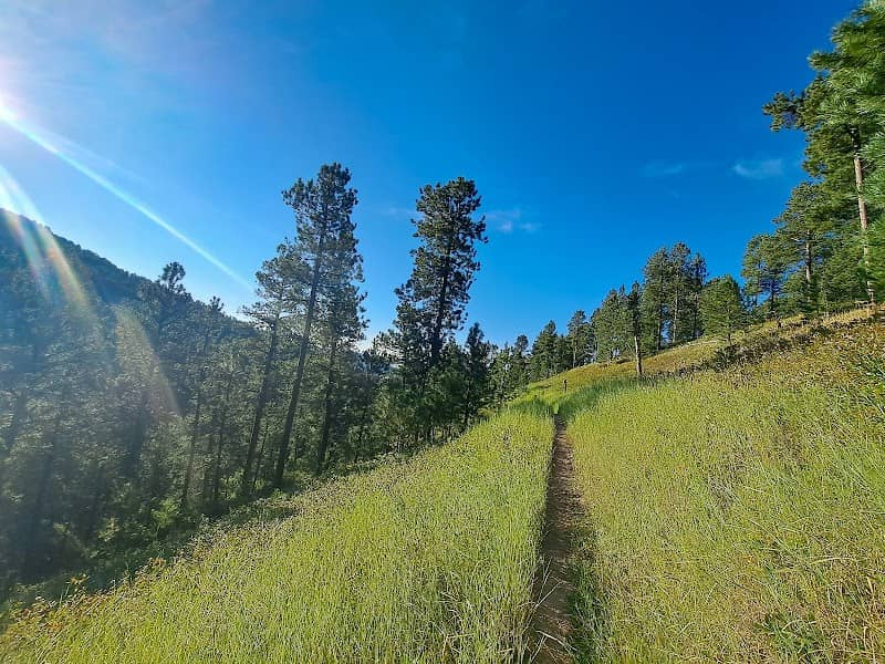 Reuter Motorized Trailhead - Image 1
