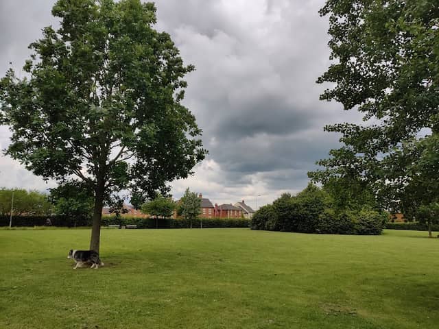 Orchard Park - Image 1