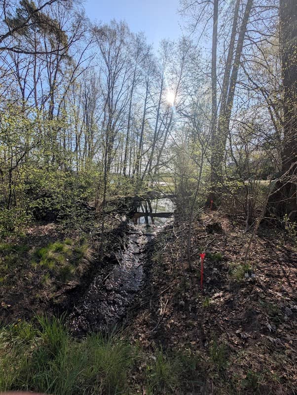 Lebbiner See - Image 2