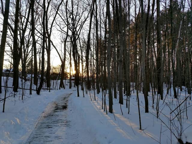 Farrell Park - Image 2