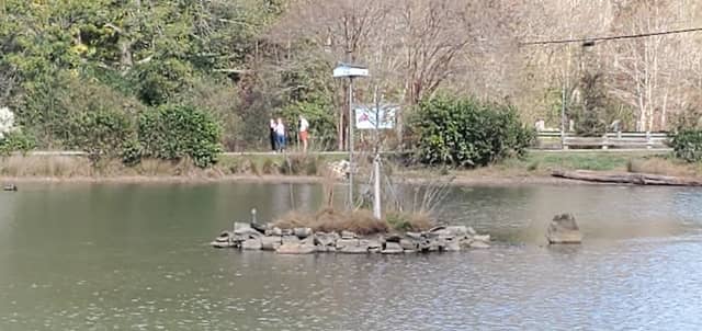 Turtle Island - Image 1