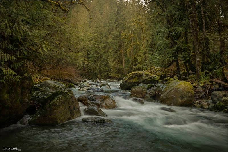 Tamihi Creek - Image 1