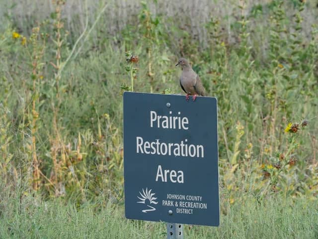 Johnson County Parks & Rec - Image 1