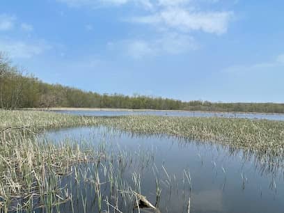 Brown Sanctuary - Image 1