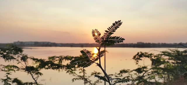 Dundigal Lake - Image 1