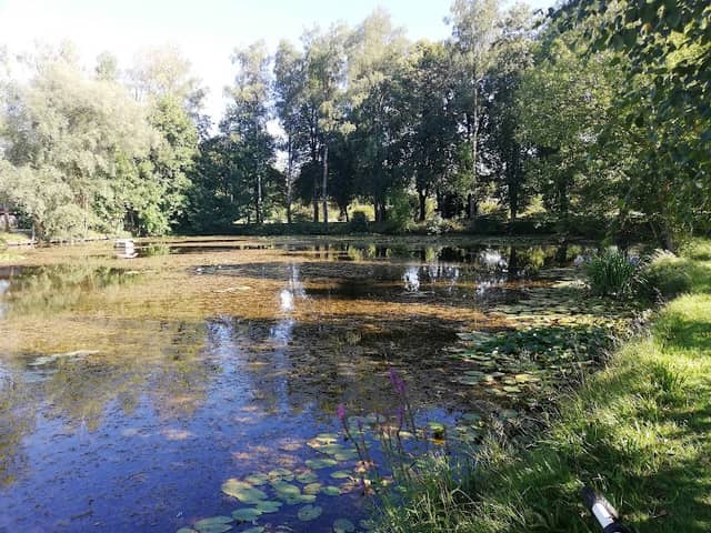 Grabenstätter Weiher - Image 1