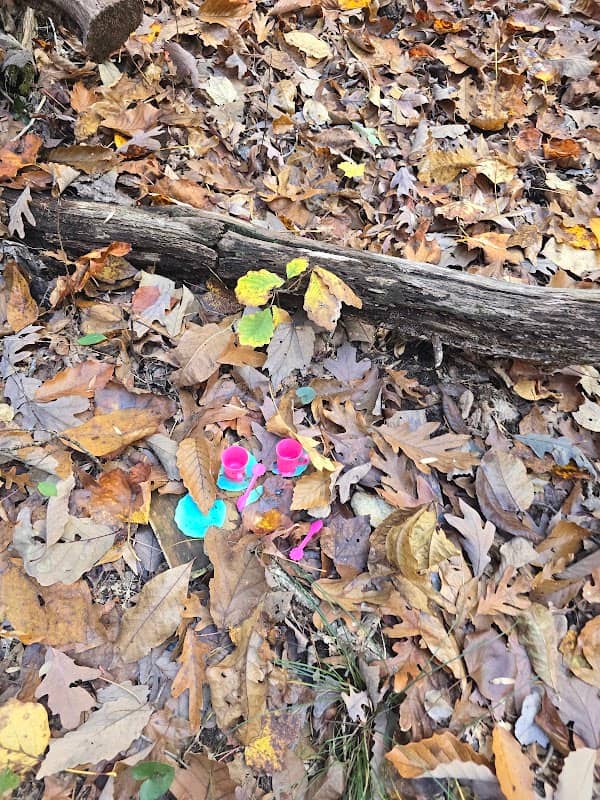 Indian Seats Loop Trail - Image 2