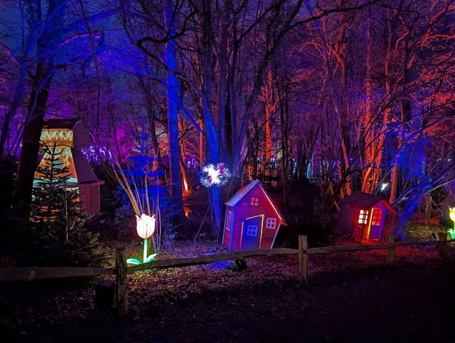 Tulleys Christmas Lights Festival - Image 1