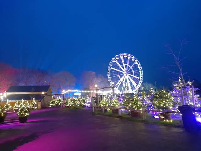 Tulleys Christmas Lights Festival - Image 3