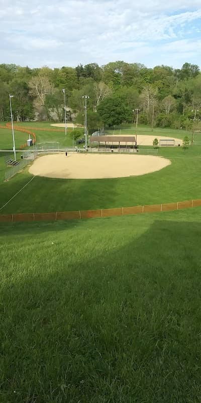 Todd Field - Image 1