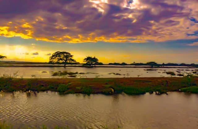 Lagrimosa - Image 1