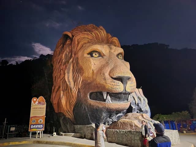 Lion’s Head - Image 2