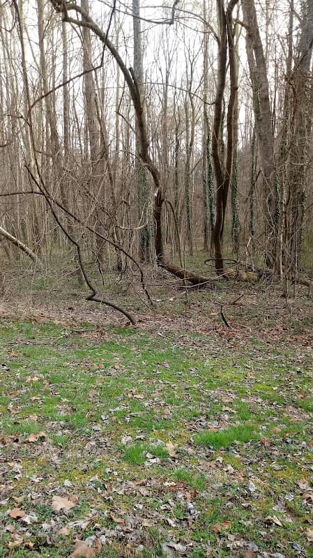 Sherwood Trail Greenway - Image 1