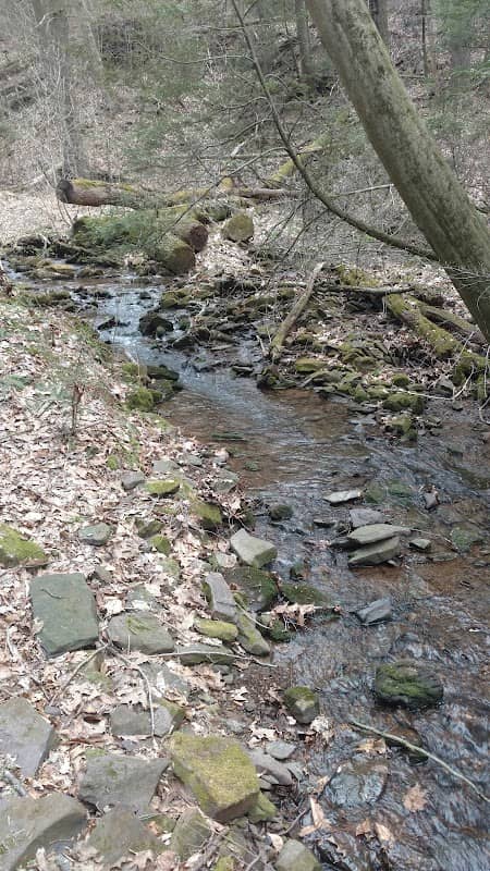 Darlington Trail - Image 1