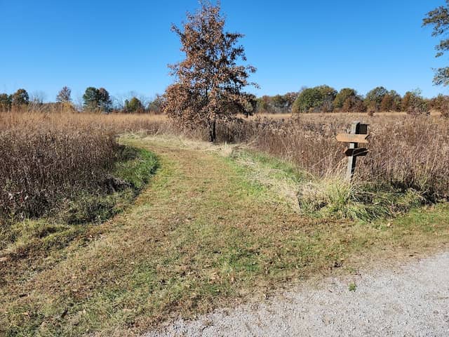 Savanna Trail - Image 1