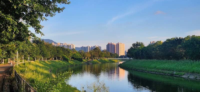 梧桐河 - Image 2