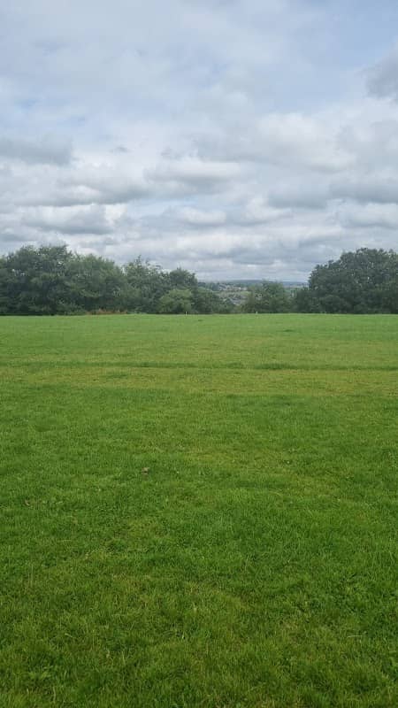 Top Field - Image 1