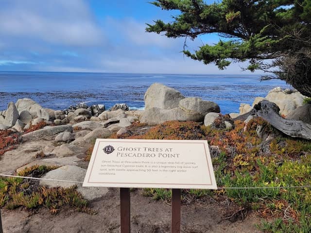 Pescadero Point - Image 2