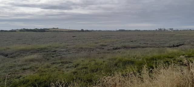Burrow's Marsh - Image 2