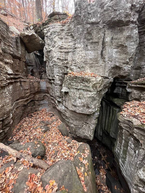 Alum Hollow - Image 2