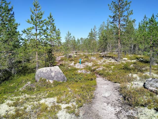 Kouta-Vuores Hiking Trails, Lautavaara Entry - Image 1