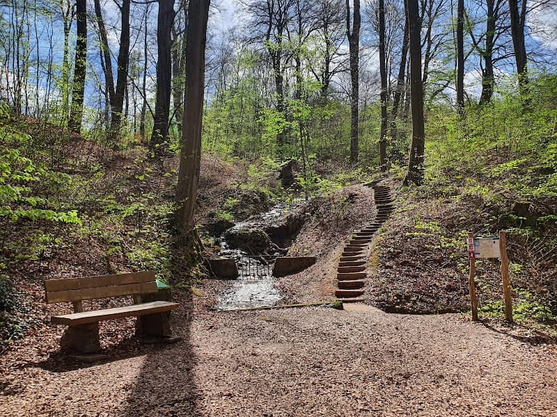 Kalktufftreppe - Image 1