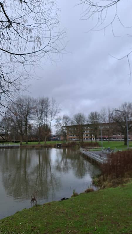 Tichelpark - Image 1