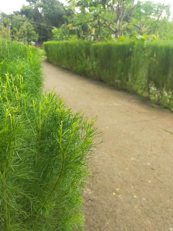 Green Way | Walkers View Point ( ഗ്രീൻ വേ, വാക്കേഴ്സ് വ്യൂ പോയന്റ് ) - Image 1