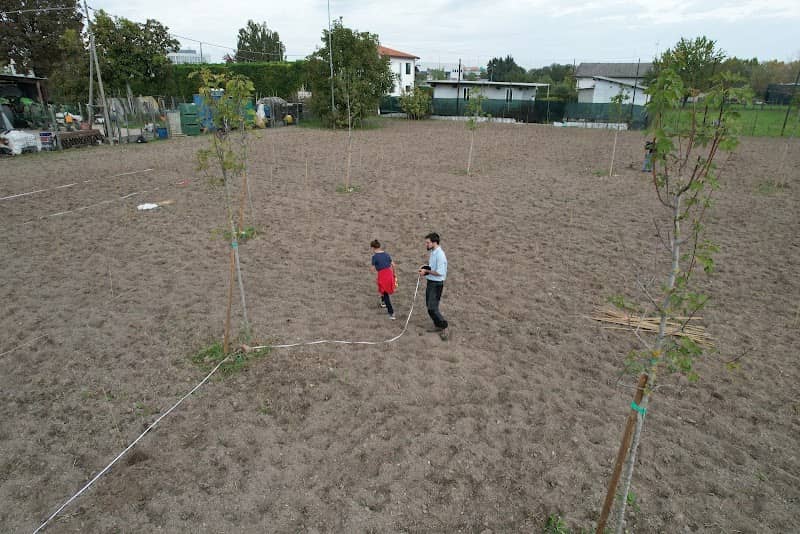Il Bosco Vivo di Piove di Sacco - Image 1