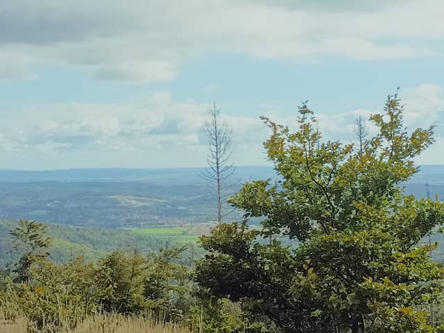 Jagdkopf - Image 1