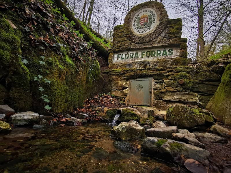 Flóra forrás - Image 1