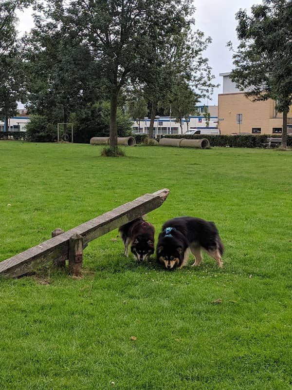 Stevenshof Dog Park - Image 1