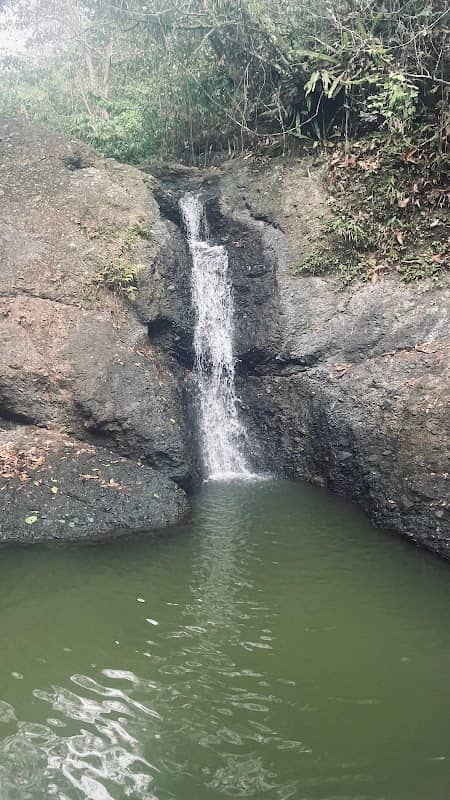 Salto Juana tevi - Image 1