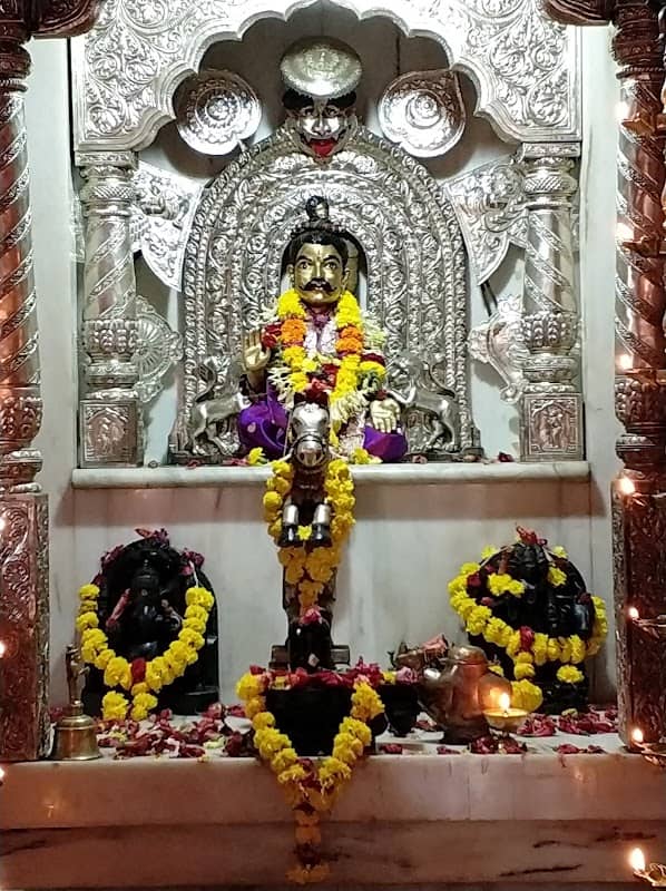 Shri Damodar Sal - Image 1