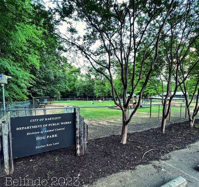 Bartlett Dog Park - Image 1