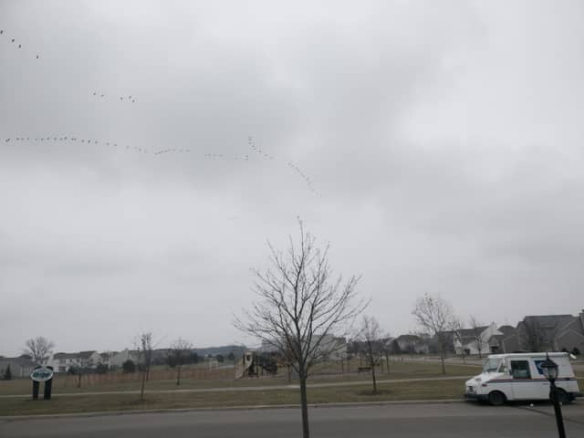 C.J. Clausen Park - Image 1