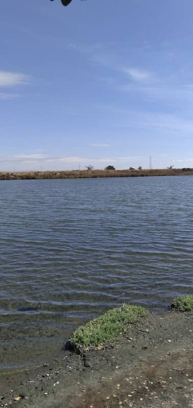 Bahia Marsh - Image 1
