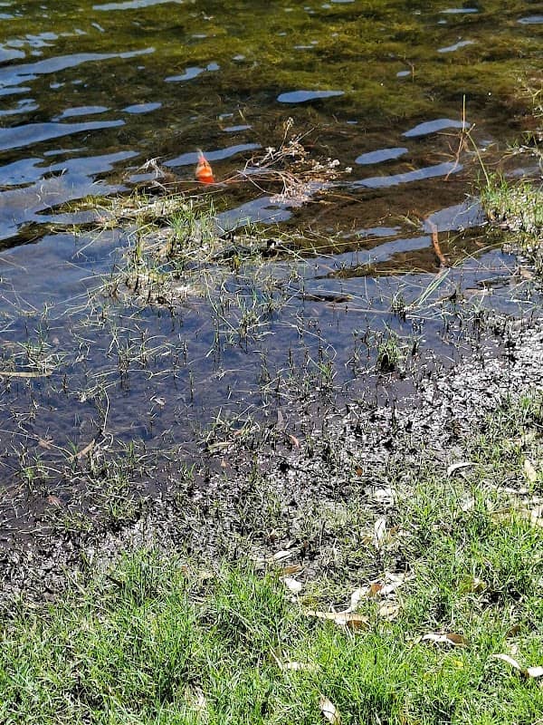 Bruce Cresswell Reserve - Image 1