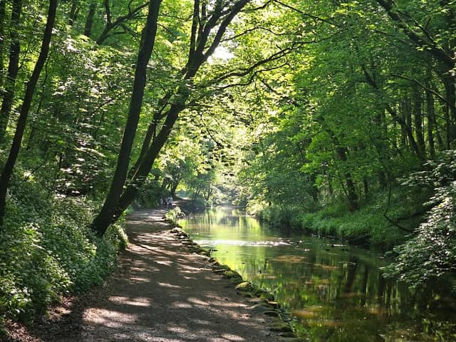 Skipton Castle Woods - Image 2