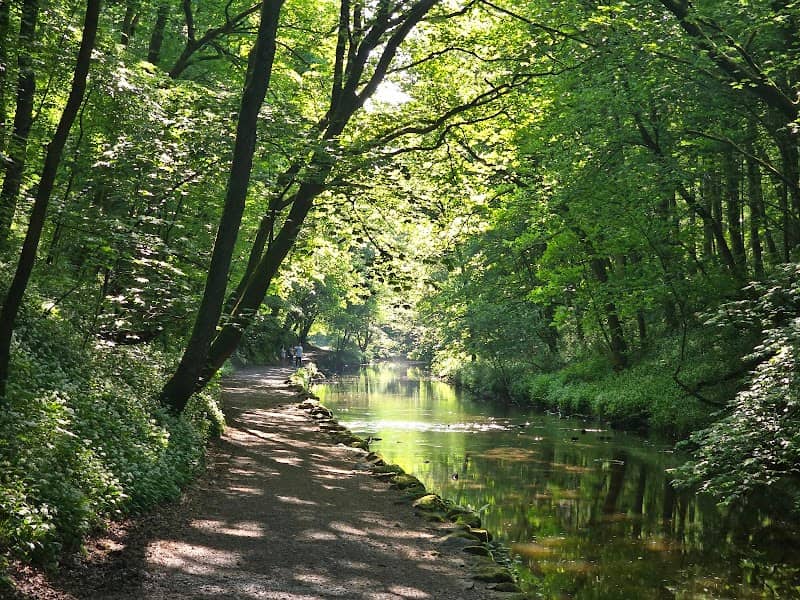 Skipton Castle Woods - Image 2