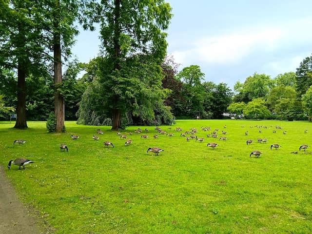 Herne Park - Image 1