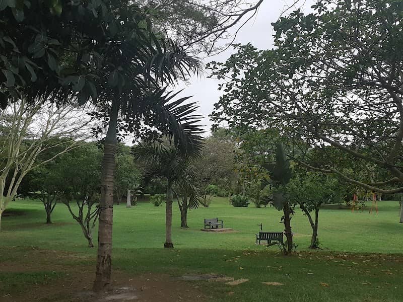Gandhi Luthuli Peace Park - Image 1