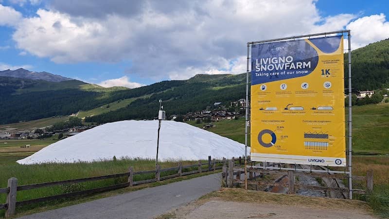 Snow Farm - Image 2