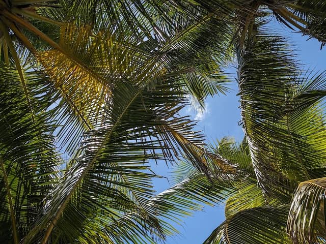 Smathers Beach - Image 2