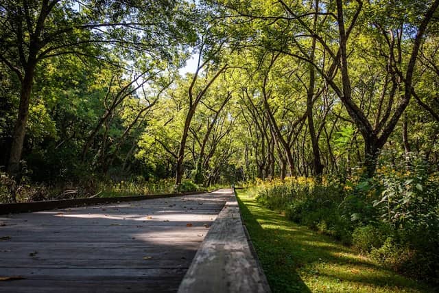Lake Atalanta Park & Trails - Image 2