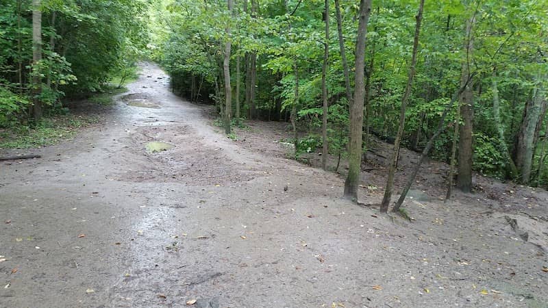 Harmony Valley Park and Off-Leash Dog Park - Image 1